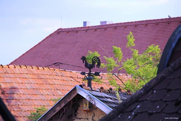Rozmaringos Udvarhaz Dunafoldvar Exteriér fotografie